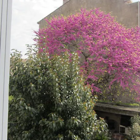 Bed & Breakfast Aude Cite-city Carcassonne