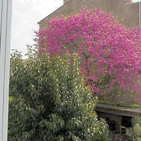 Aude Cite-city Nocleg ze śniadaniem 3*