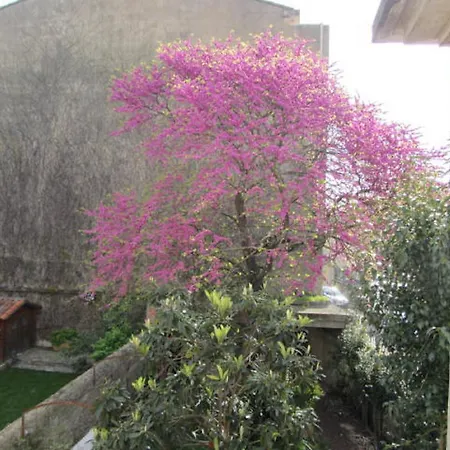 Aude Cite-city Bed & Breakfast Carcassonne