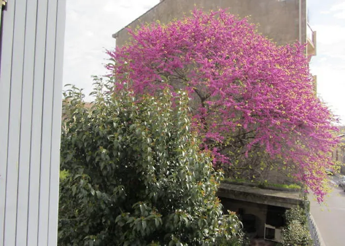 Bed & Breakfast Aude Cite-city Carcassonne