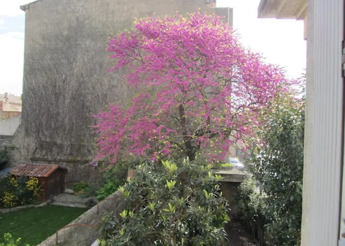 Aude Cite-city Bed and Breakfast Καρκασόν