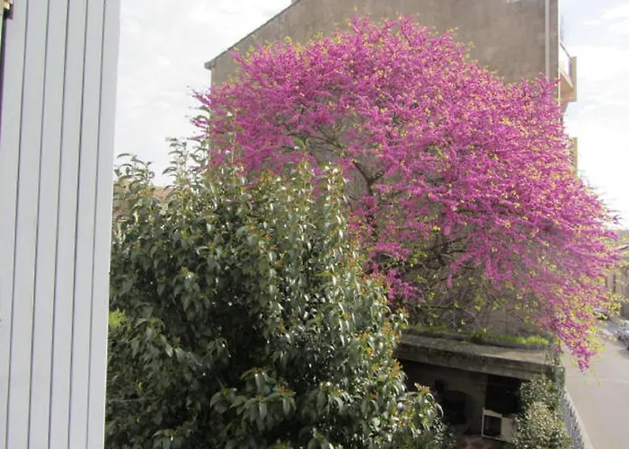 Bed & Breakfast Aude Cite-city